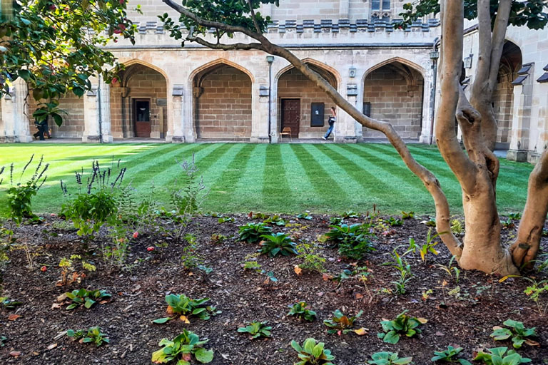 Landscape Maintenance - Turf Management