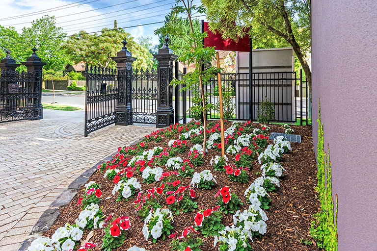 Landscape Maintenance - School Grounds Maintenance
