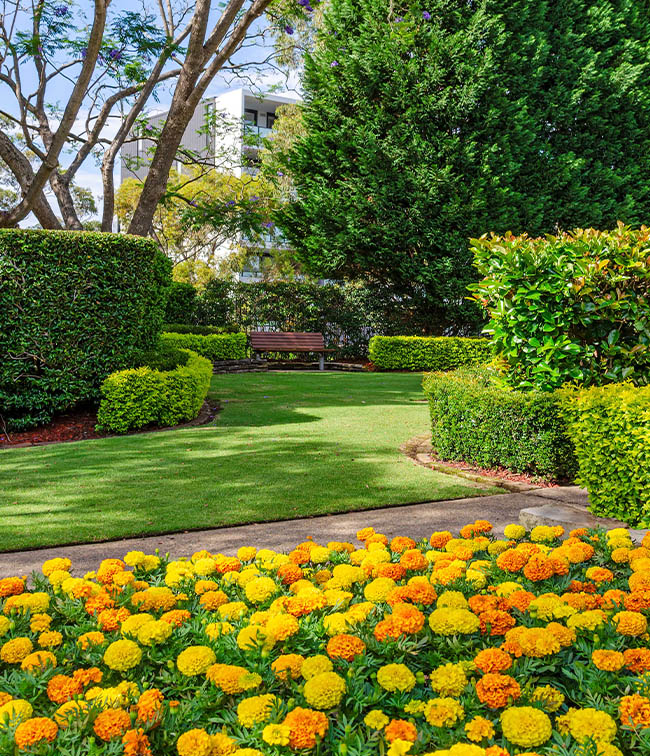 Sydney Australia Temple - Green Space