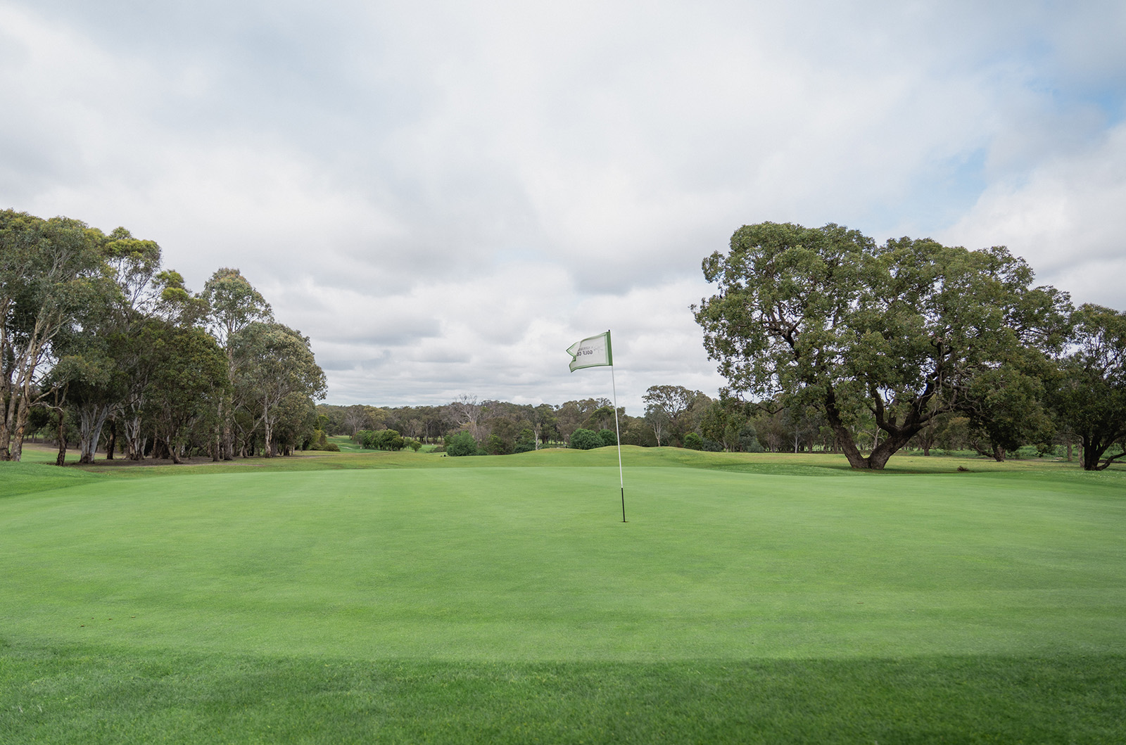 Yarrambat Park Golf Course - Green