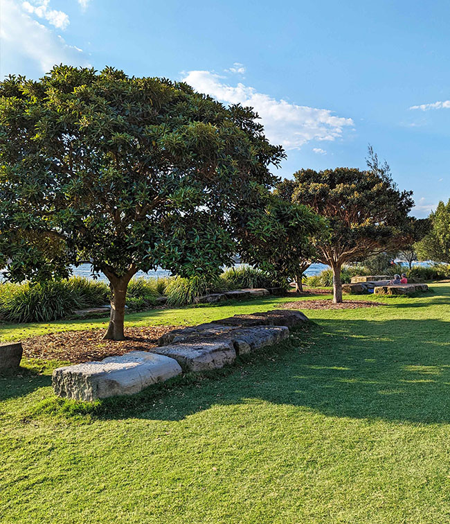 Barangaroo Reserve - Foreshore Maintenance