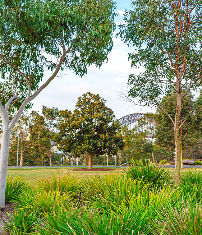 Barangaroo Reserve - Park and Harbour Views