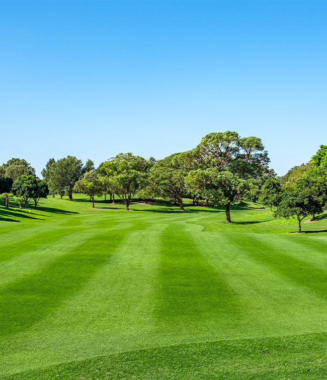 Golf course maintenance by Solutions+