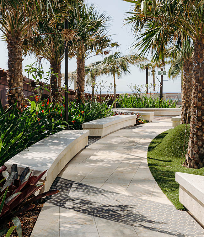 Jewel - Walkway and palm trees