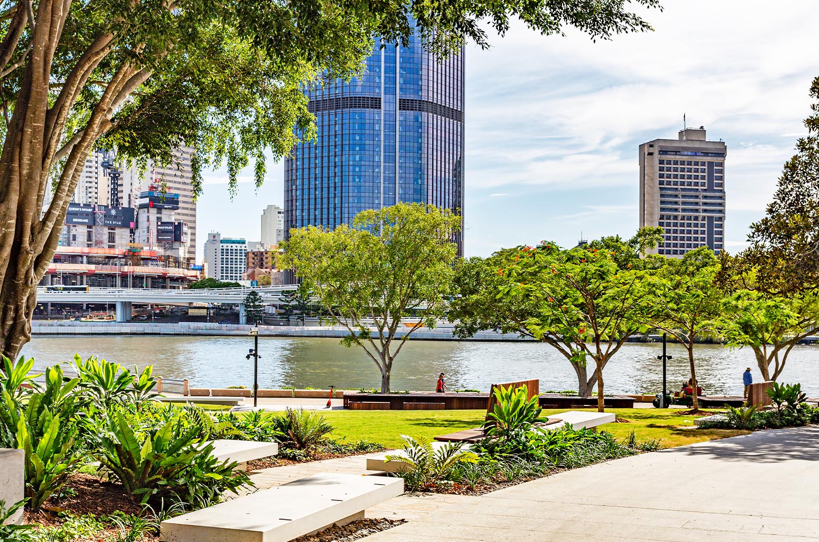 Riverside Green and Brisbane River