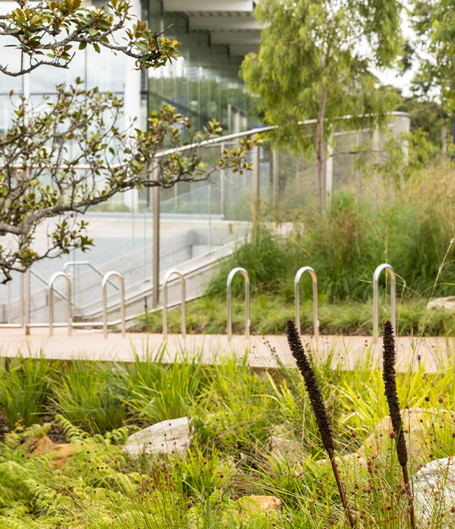 Sydney Modern Project - Garden and Bike Stand