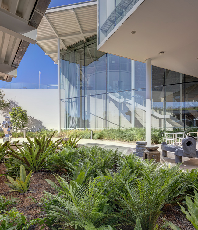 Sydney Modern Project - Interior Garden Area