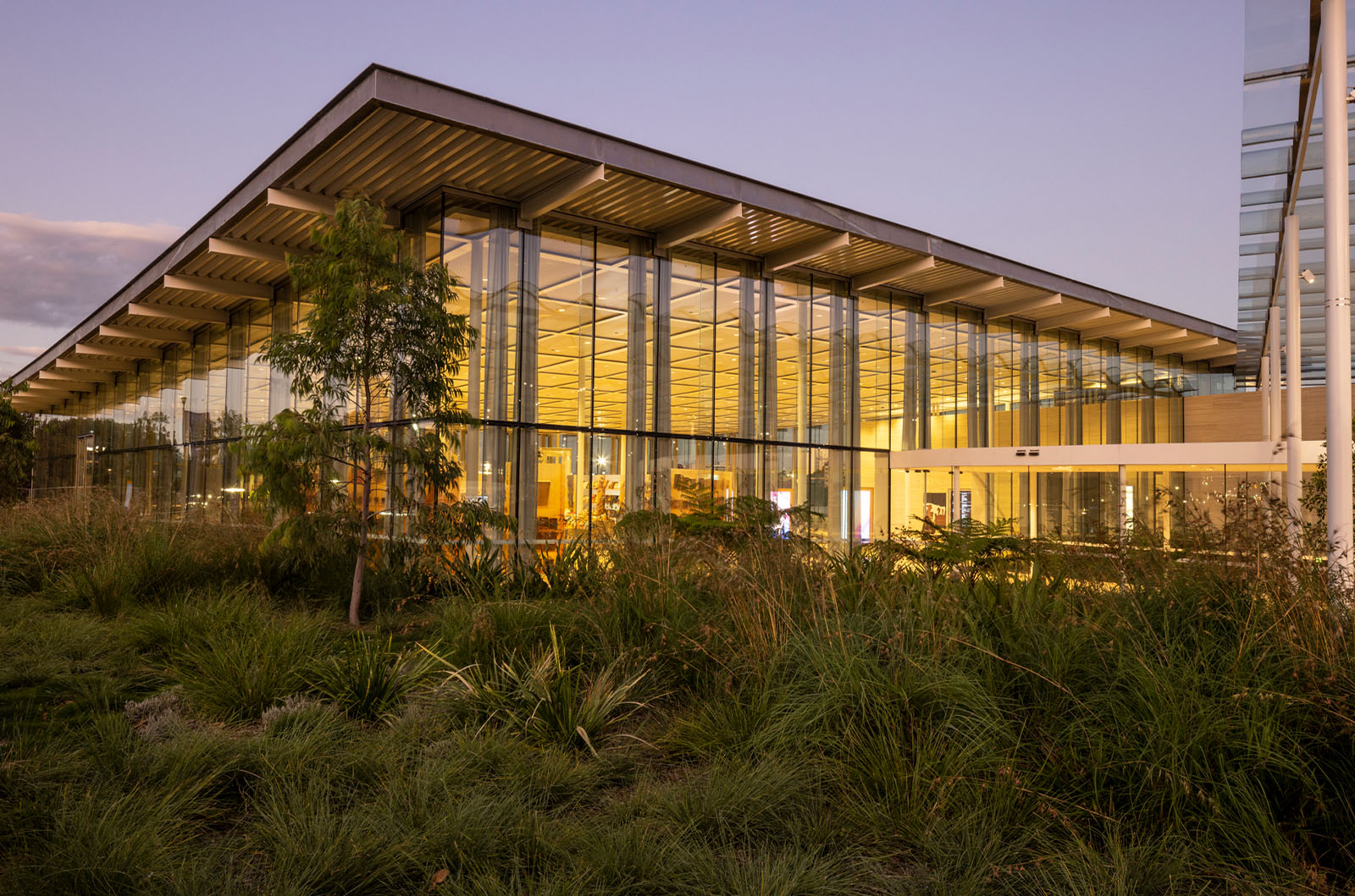 Sydney Modern Project - Sydney Modern Building and Landscape Surrounds