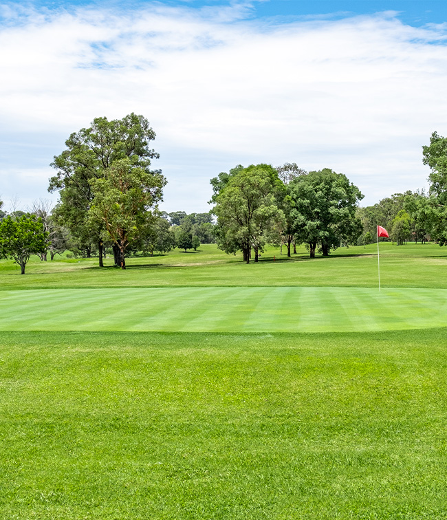 Wallacia Country Club Golf Course - Green with flag