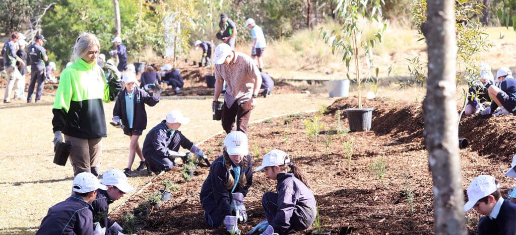 National Tree Day - Header Image
