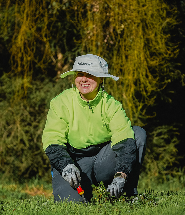 Apprentices - Ecology