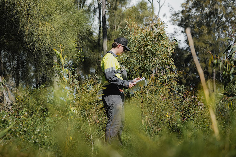 Apprentice at work - Conservation and Ecosystem Management