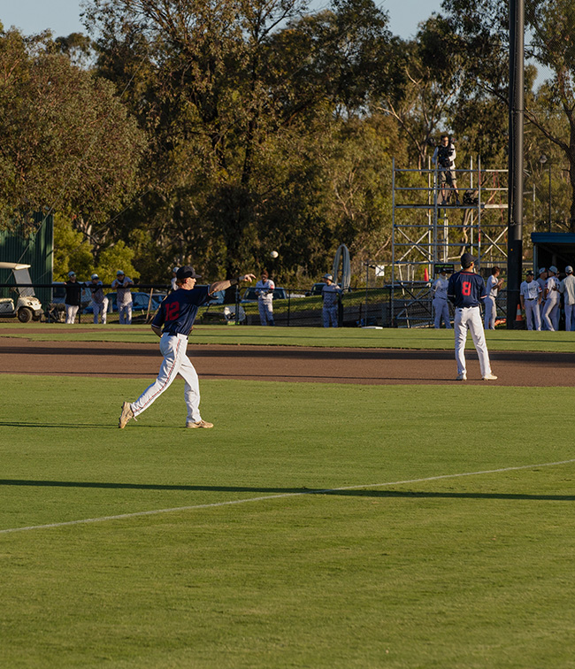 Projects Body3 Geelong Baseball Centre