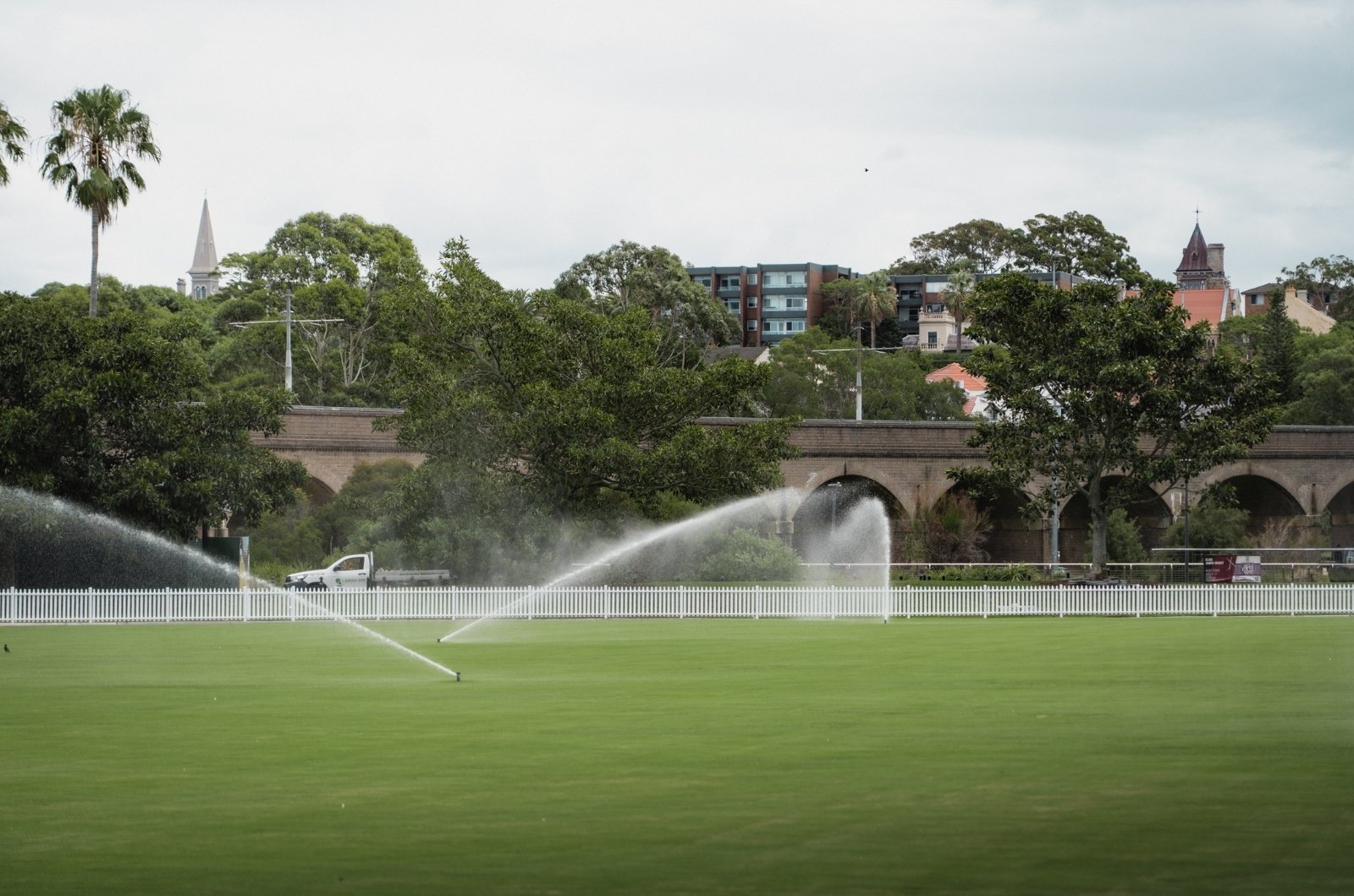 Jubilee Oval - Fence View