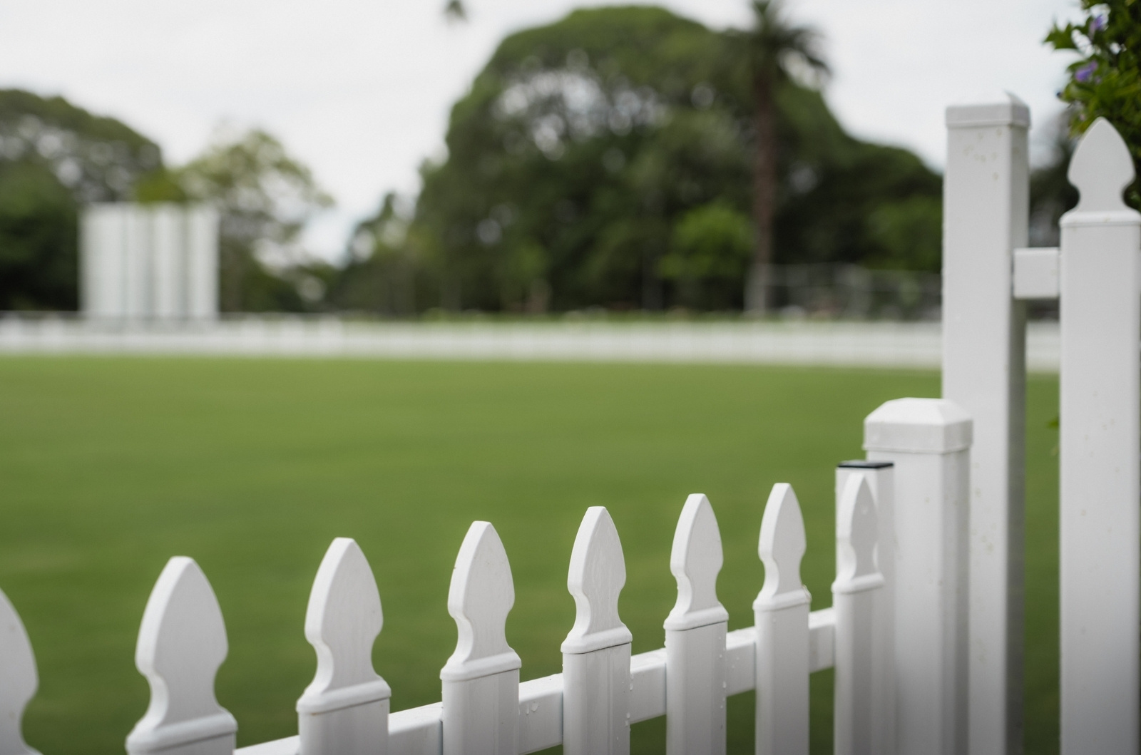 Jubilee Oval - Fence View