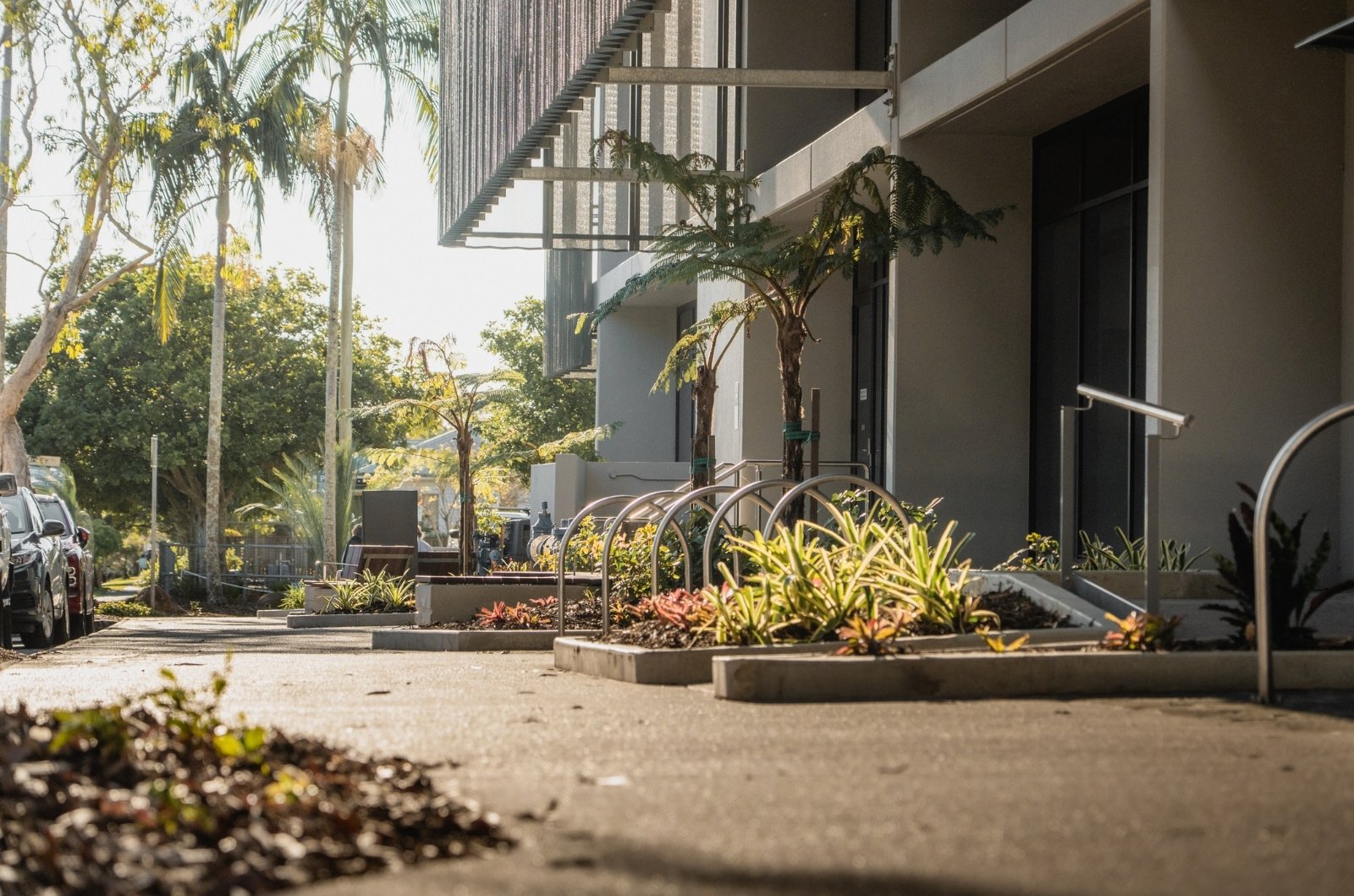 Bill Venardos Park Project | Solutions+