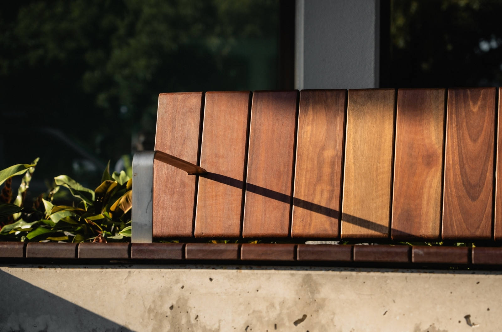 Bill Venardos Park Project | Solutions+