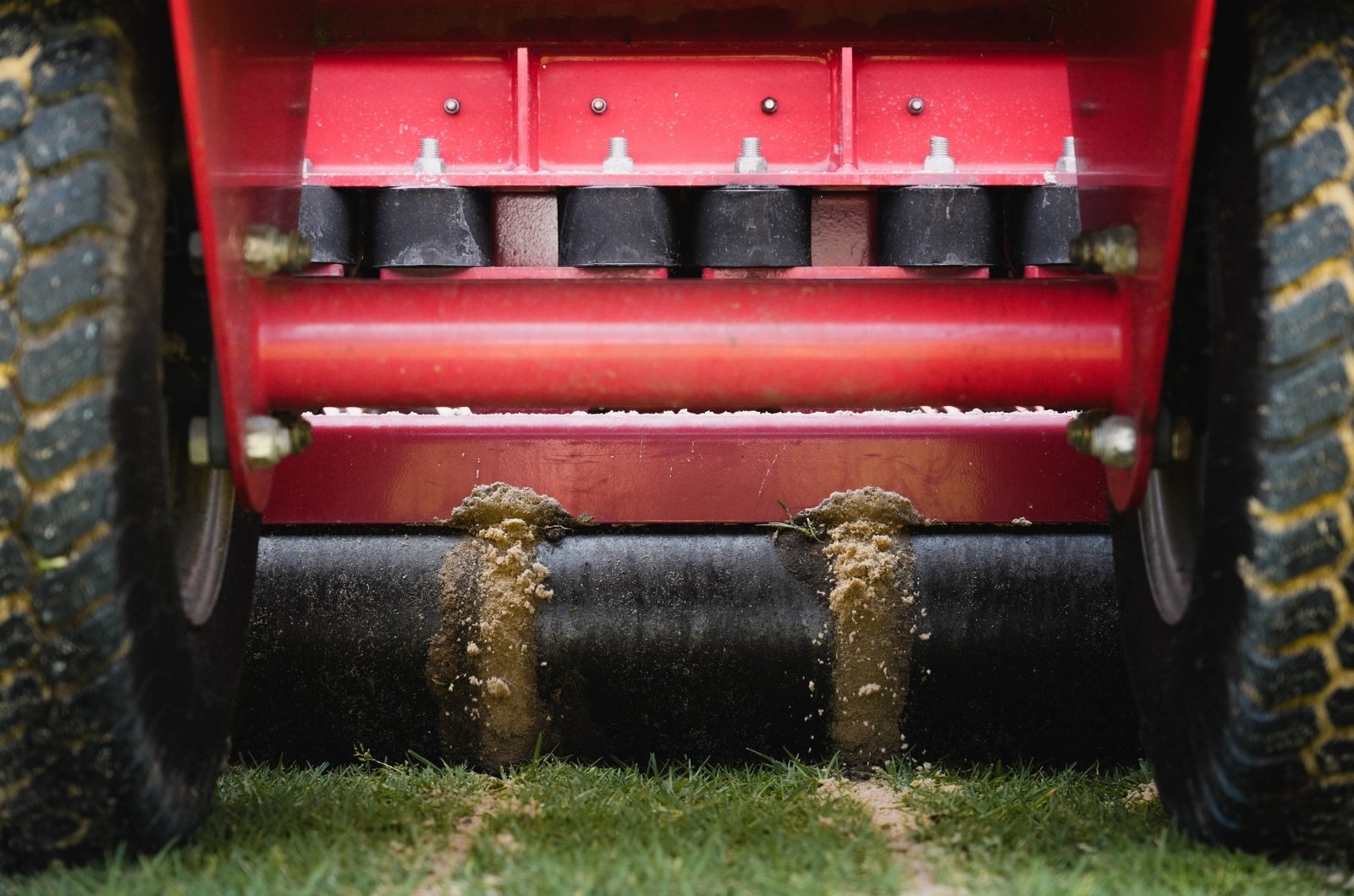 cv kelly full body (4)