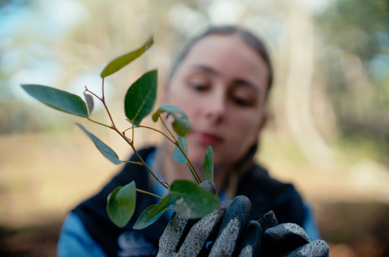 close up of staff member paris with plant