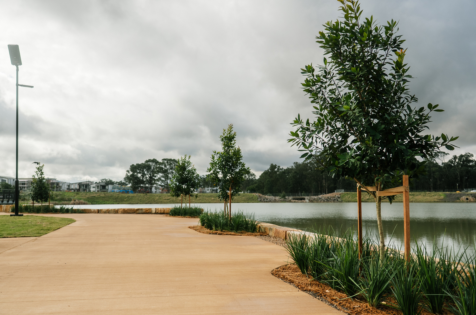 Close up of lakeside pathway with planted trees and plants