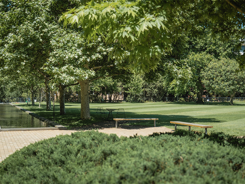 Image of the grounds at a university with lush greenery that surrounds pathway and water feature alongside outdoor furniture